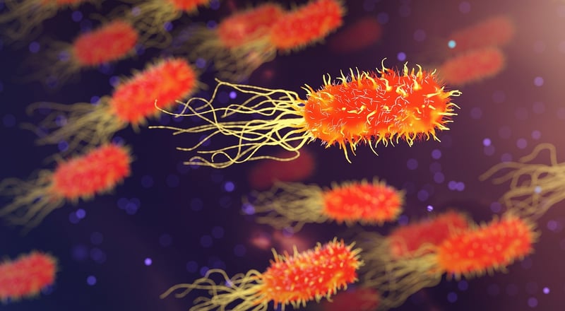 Genetic Engineering